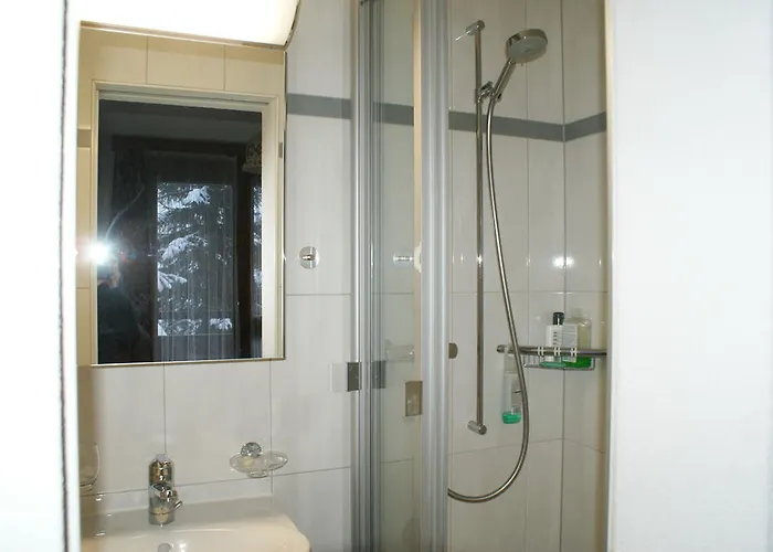 Апартаменти Des Alpes Давос